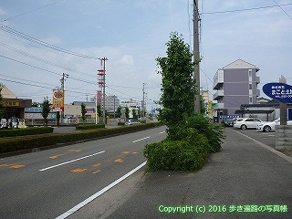18-016徳島県徳島市