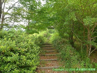 38-601高知県土佐清水市