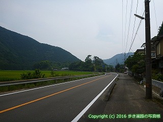 38-614高知県土佐清水市