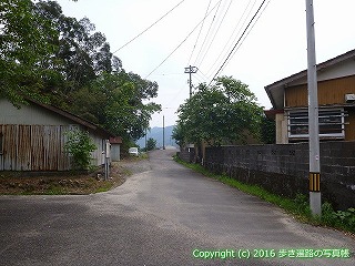38-616高知県土佐清水市