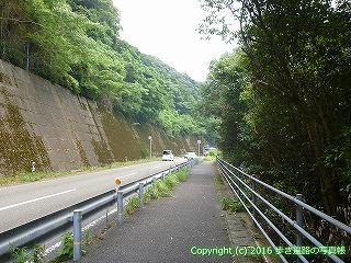 38-628高知県土佐清水市