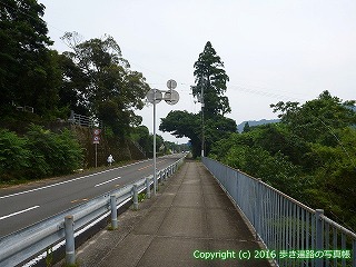 38-629高知県土佐清水市