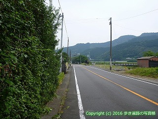 38-633高知県土佐清水市