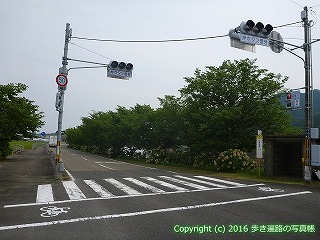 38-637高知県土佐清水市