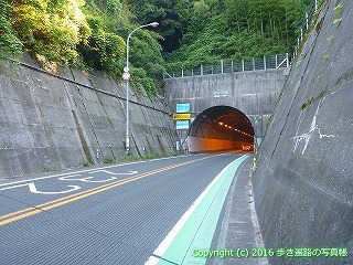 45-118愛媛県西予市鳥坂トンネル