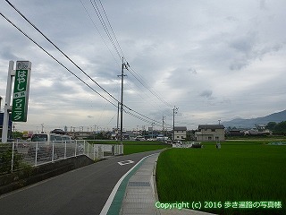 65-103愛媛県新居浜市
