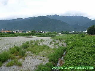 65-148愛媛県新居浜市国領川