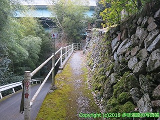 6601-157ODs