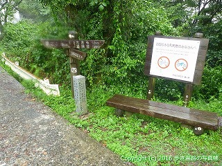 67-009쌧ωs