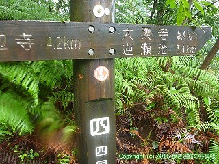 67-035쌧ωs