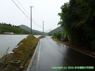 67-047쌧ωs